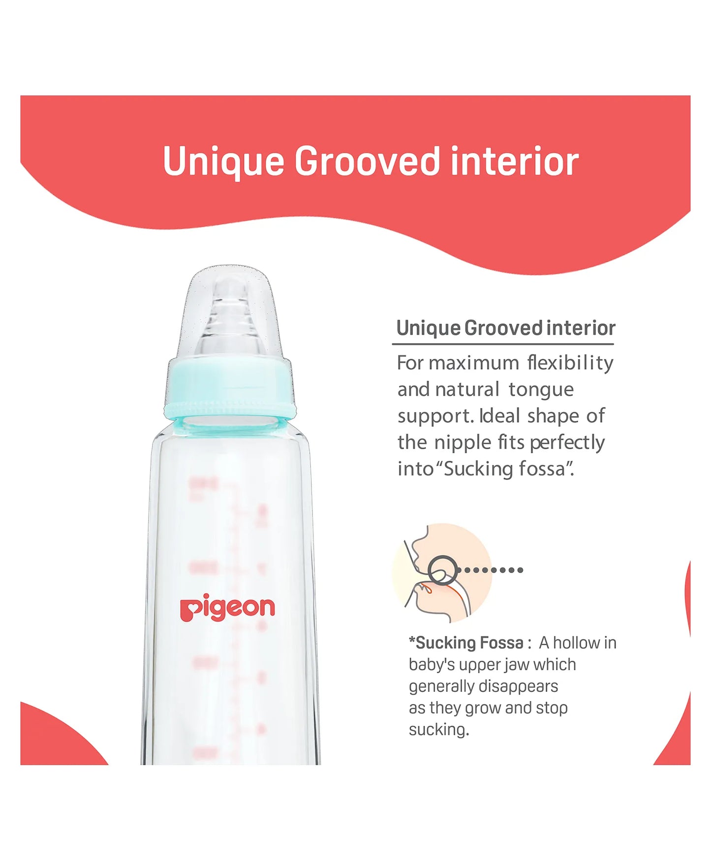 Pigeon Glass Feeding Bottle with Nipples Blue - 240 ml 9+